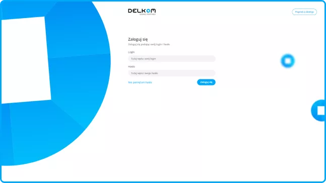 Platforma B2B Delkom.pl - Pixlab.pl
