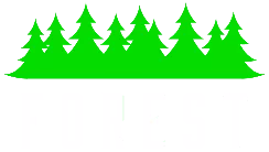 forest-garwolin.pl by Pixlab.pl