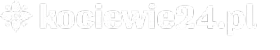 Kociewie24.pl by Pixlab