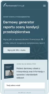 Strona internetowa badająca rentowność firm
